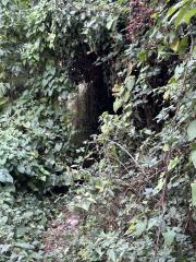 Little near-impassable section, near Vange Wharf, just beside the A13